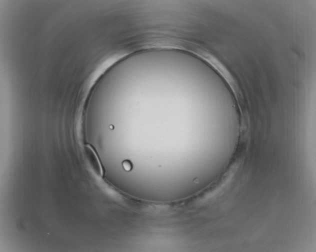 X0000113780909200910071221