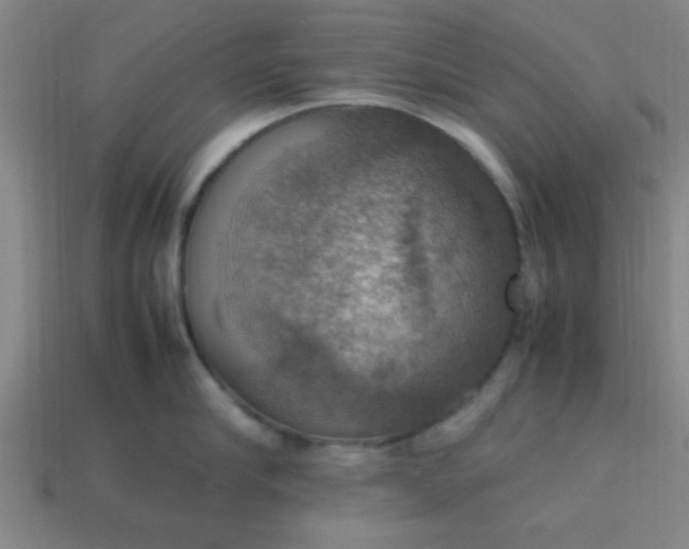 X0000113780910200910071221