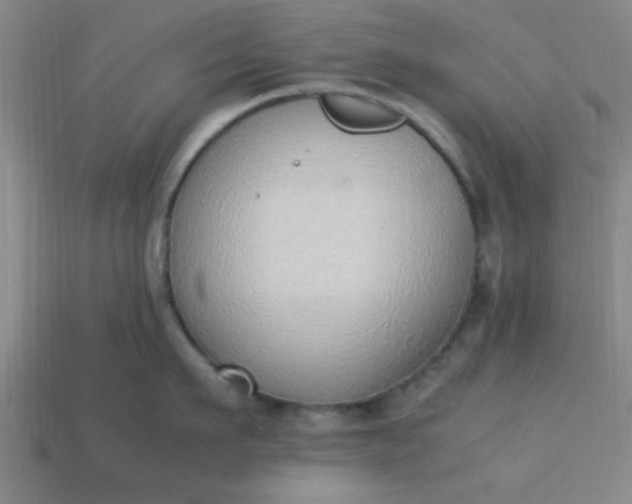 X0000113780911200910071221