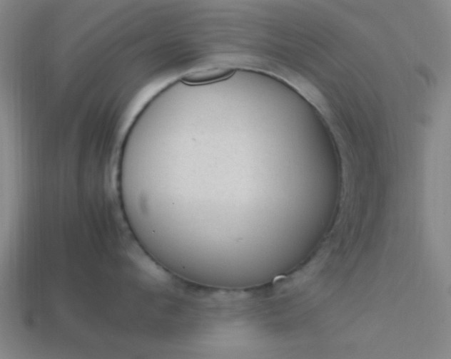 X0000113780912200910071221