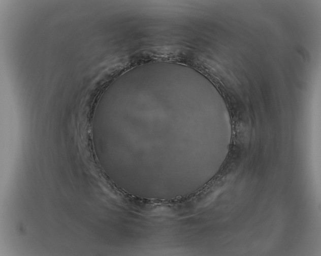 X0000113780913200910071220