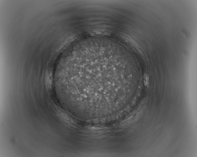 X0000113780915200910071220