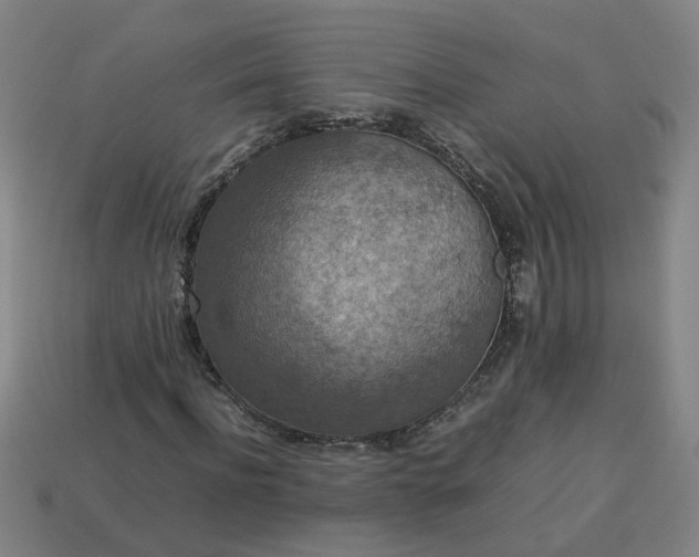 X0000113780916200910071221