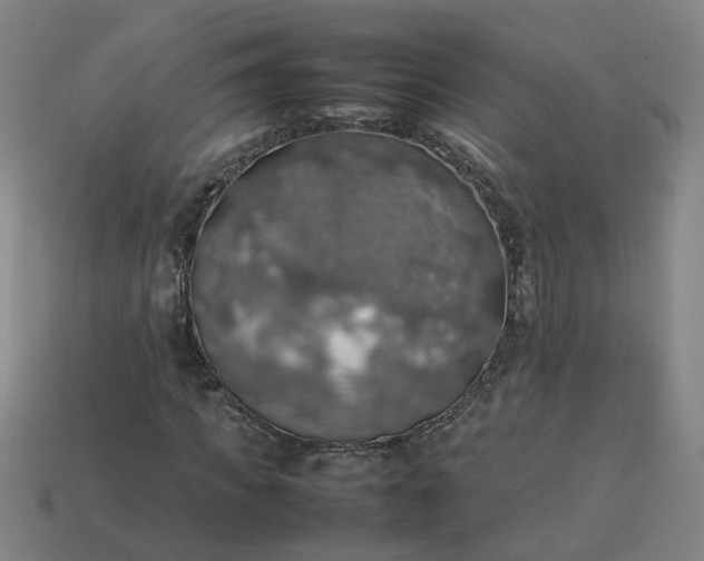 X0000113780917200910071221