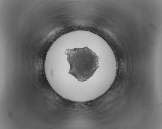 X0000113780918200910071221