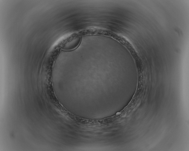 X0000113780919200910071221