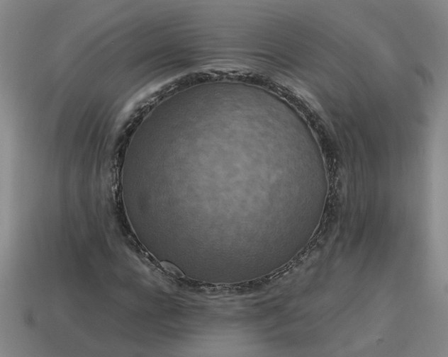 X0000113780920200910071221