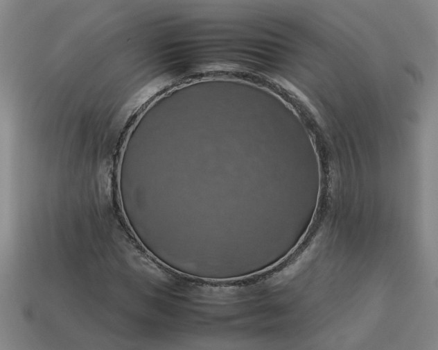 X0000113780921200910071221