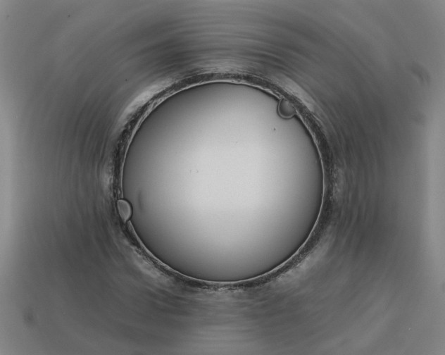 X0000113780922200910071221