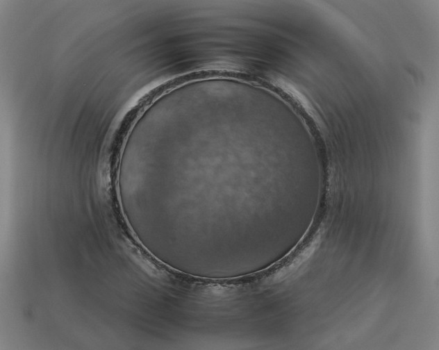 X0000113780923200910071221