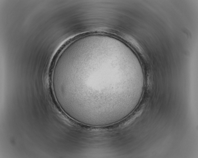 X0000113780924200910071221