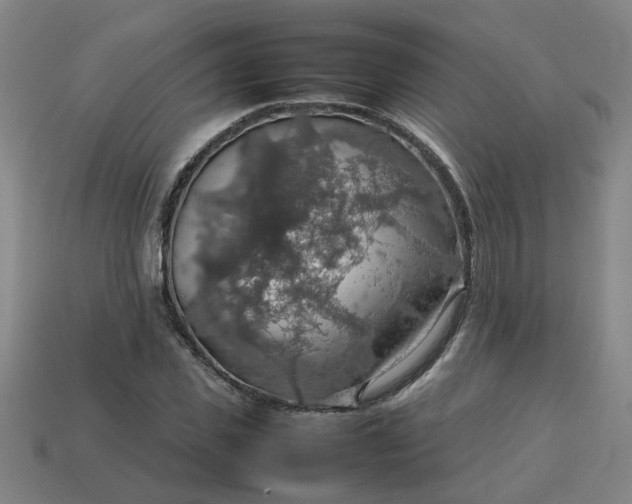 X0000113780925200910071221