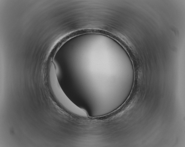 X0000113780926200910071221