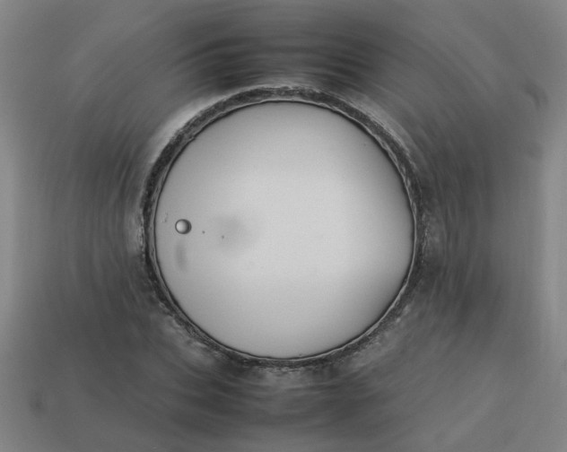 X0000113780927200910071221