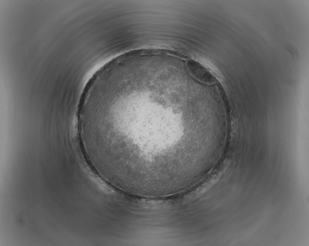 X0000113780928200910071221