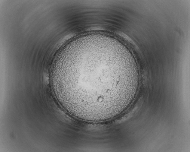 X0000113780929200910071221