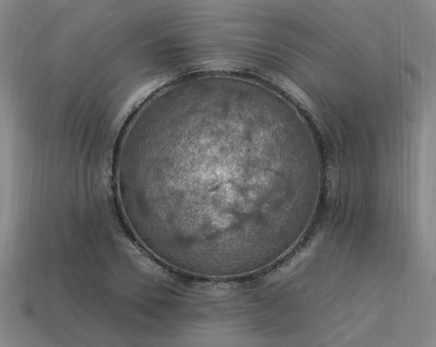 X0000113780930200910071221