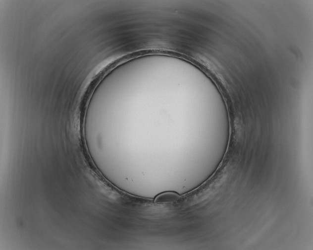 X0000113780931200910071221