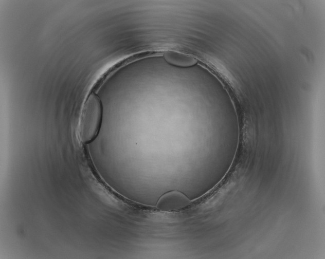 X0000113780932200910071221