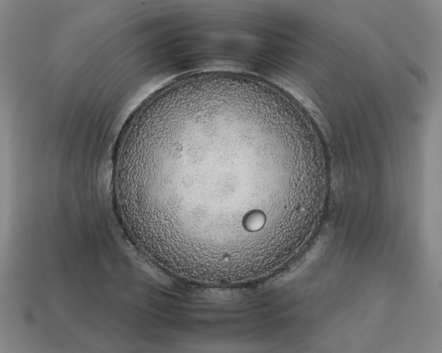 X0000113780933200910071221