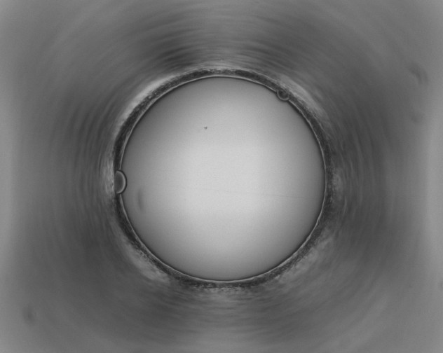 X0000113780934200910071221