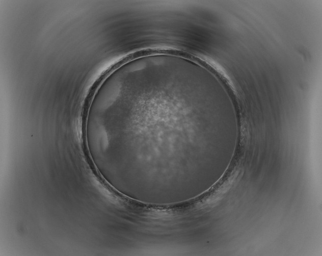 X0000113780935200910071221