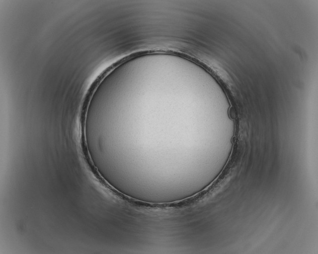 X0000113780936200910071221