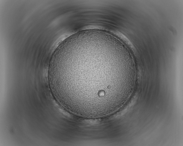 X0000113780937200910071221