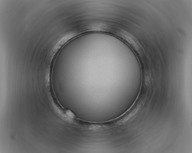 X0000113780938200910071221