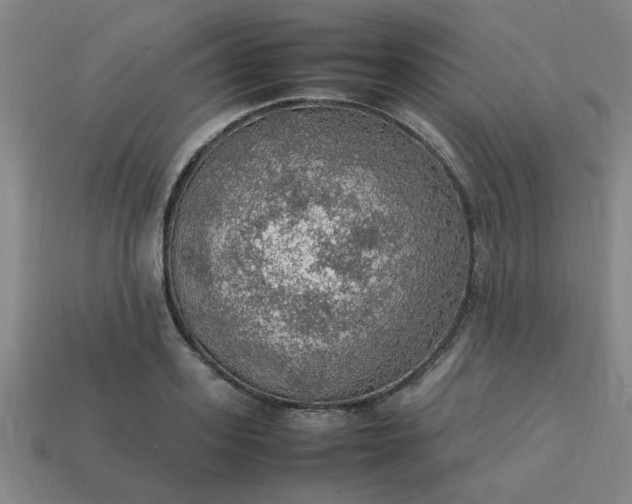 X0000113780939200910071221