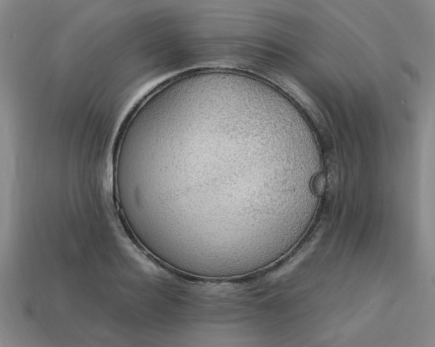 X0000113780940200910071221