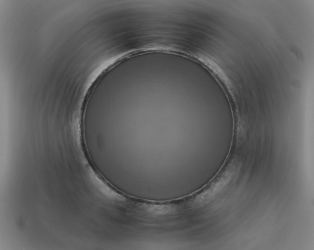 X0000113780941200910071221