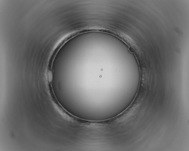 X0000113780942200910071221