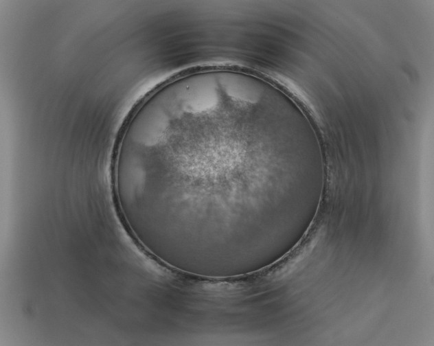 X0000113780943200910071221