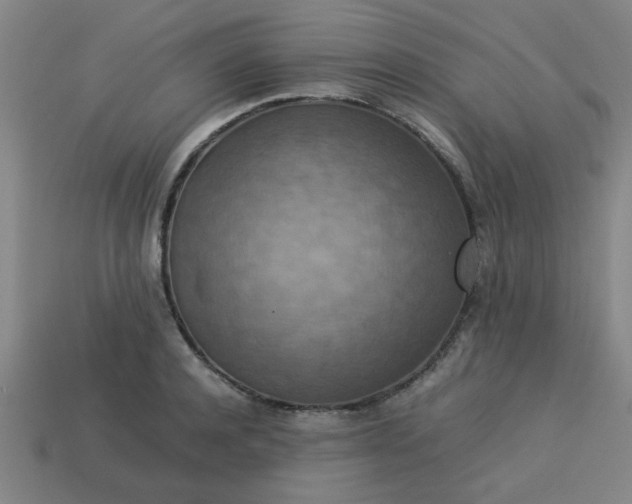 X0000113780944200910071221