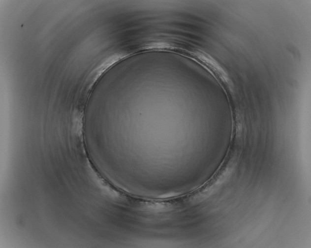 X0000113780945200910071221