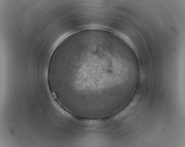 X0000113780946200910071221