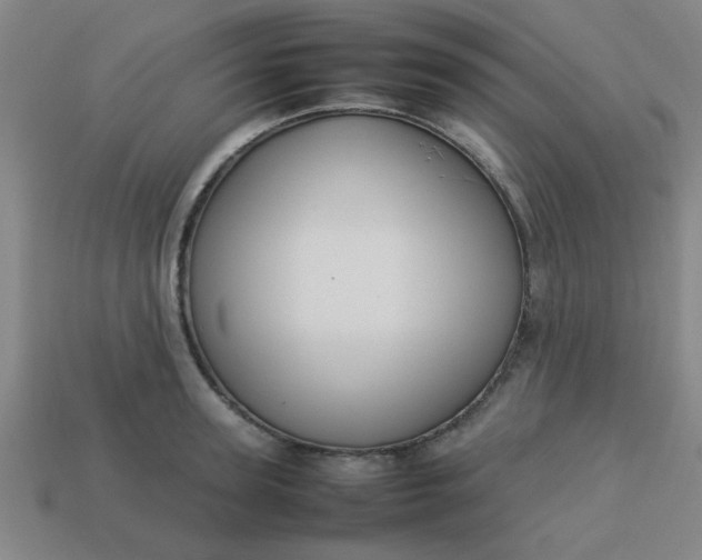 X0000113780947200910071221