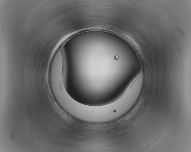 X0000113780948200910071221