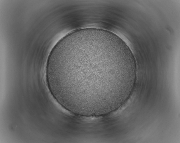 X0000113780949200910071221