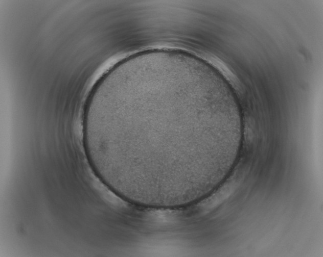 X0000113780950200910071221