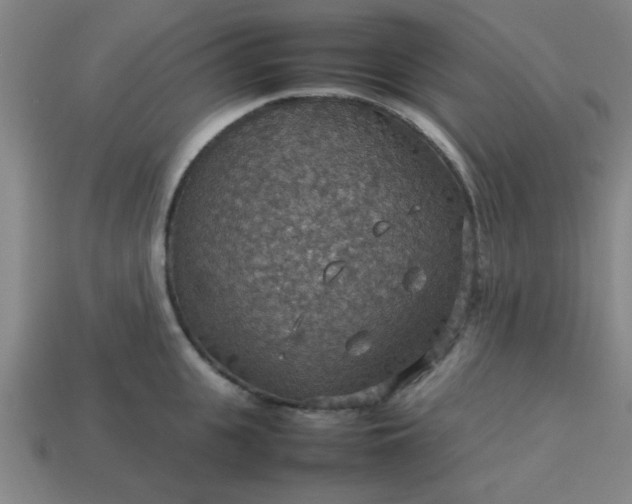 X0000113780951200910071221