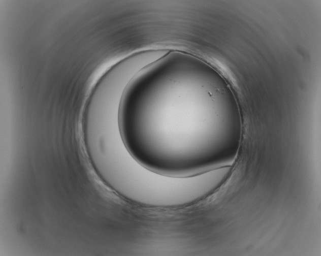 X0000113780952200910071221