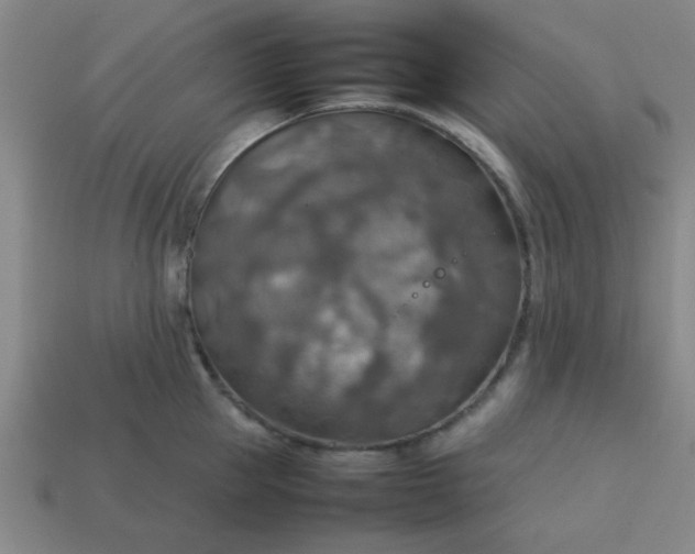 X0000113780953200910071221