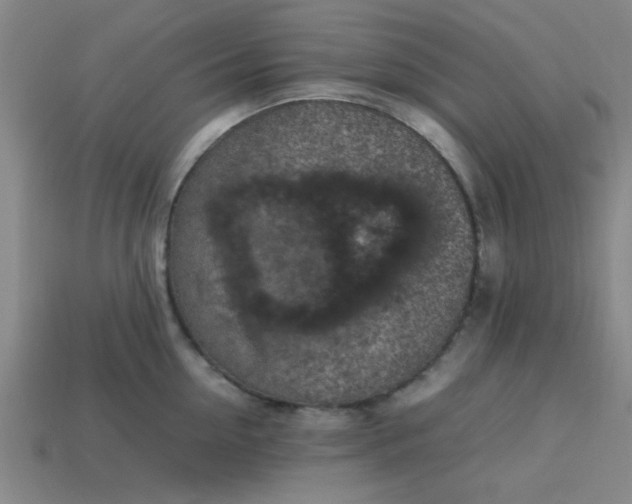 X0000113780954200910071221