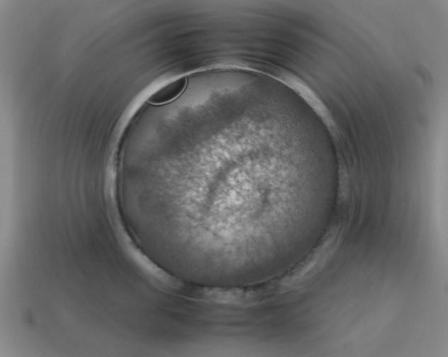 X0000113780955200910071221