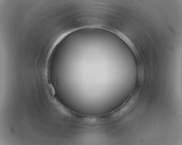 X0000113780956200910071221