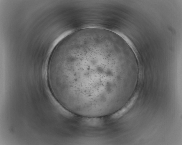 X0000113780957200910071221