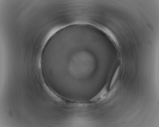 X0000113780958200910071221