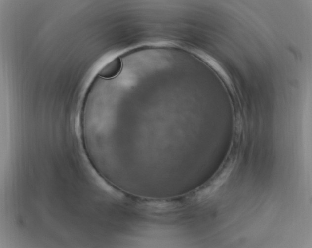 X0000113780959200910071221